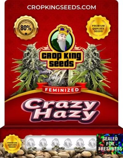 Crazy Hazy