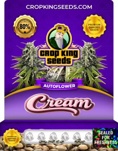 cream-autoflowering-image