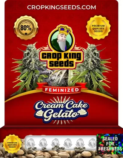 cream-cake-gelato-image
