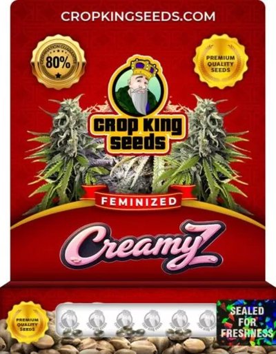 Creamy Z