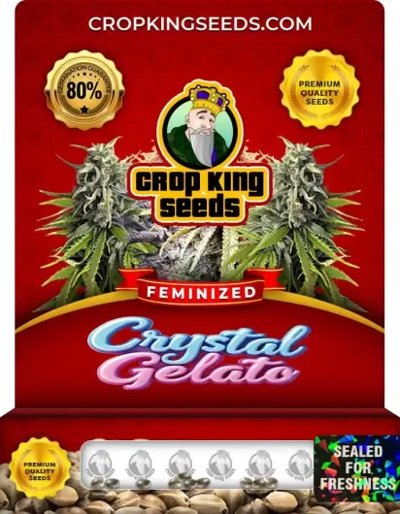 Crystal Gelato