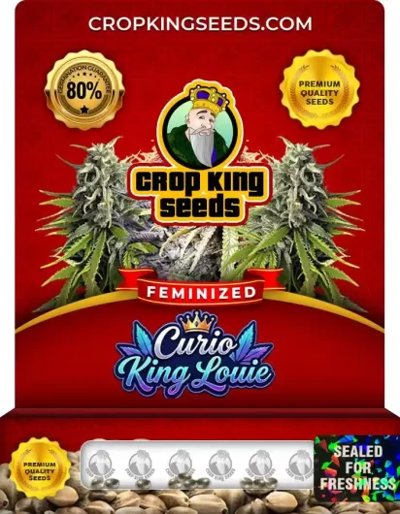 Curio King Louie