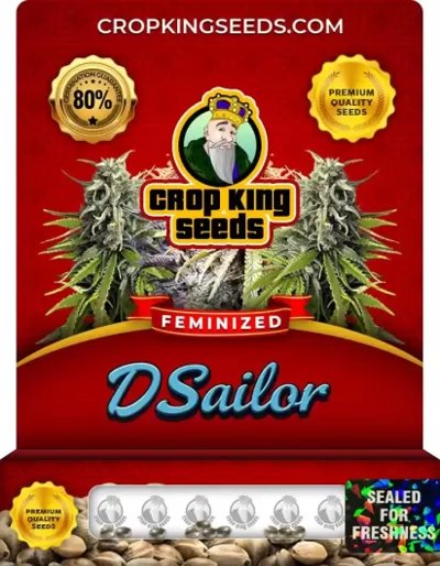 D Sailor