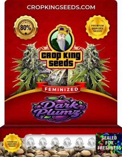 Dark Plumz