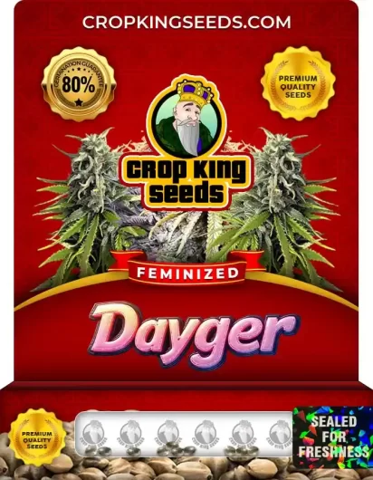 dayger-image