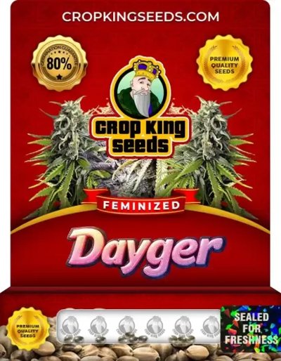 Dayger