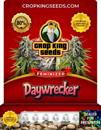 daywrecker-image