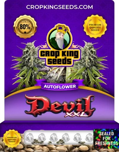 Devil XXL Autoflower