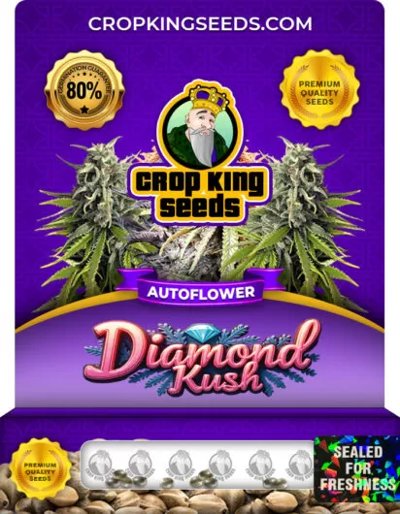Diamond Kush Autoflower