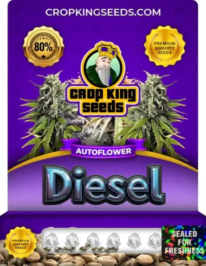diesel-autoflowering-image