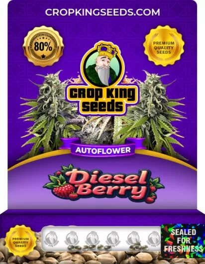 diesel-berry-autoflower-image