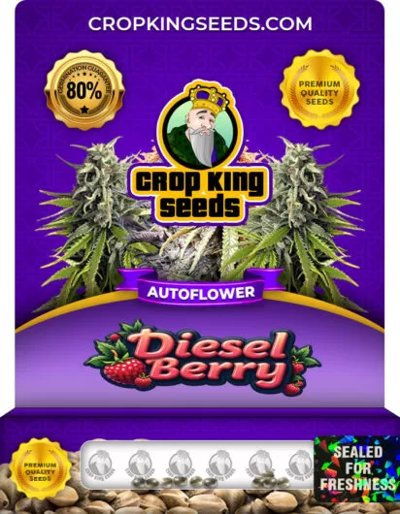 Diesel Berry Autoflower