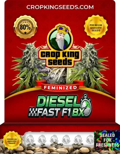 diesel-fast-f1-bx-image