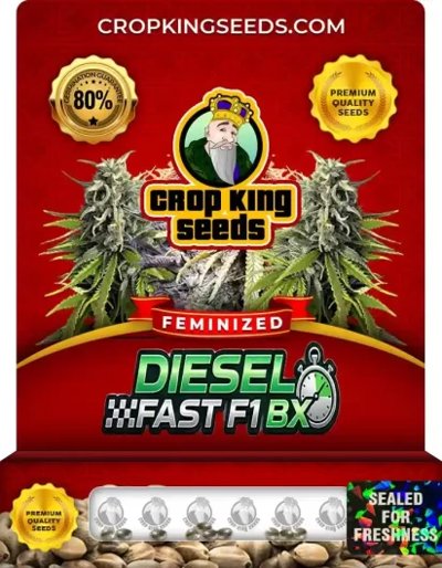 Diesel Fast F1 Bx