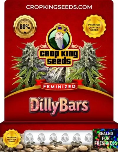 Dilly Bars