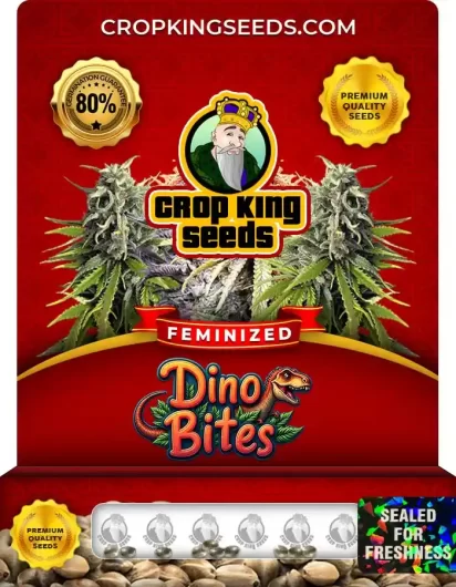 dino-bites-image