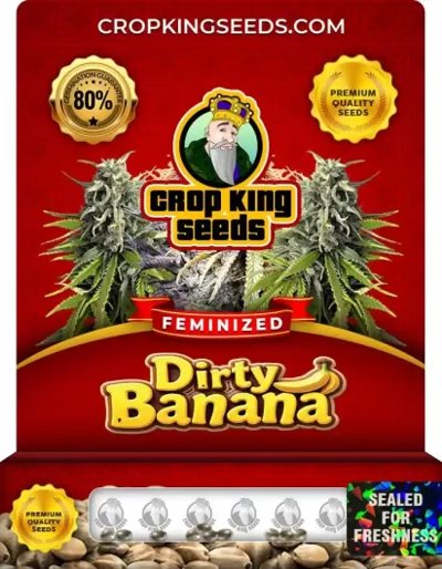 Dirty Banana