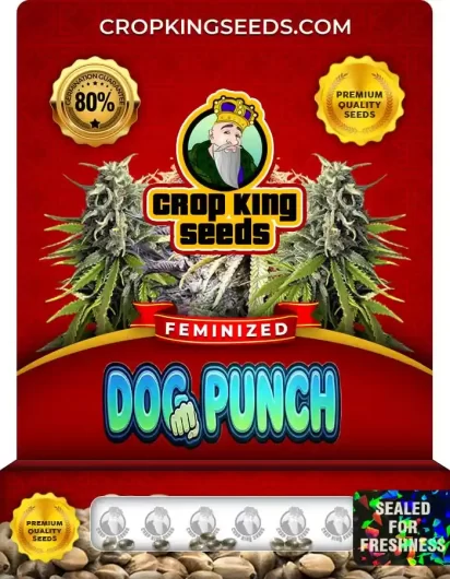 dog-punch-hybrid-image