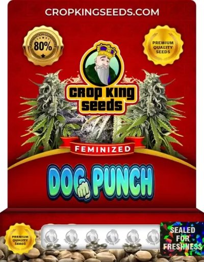 Dog Punch Hybrid