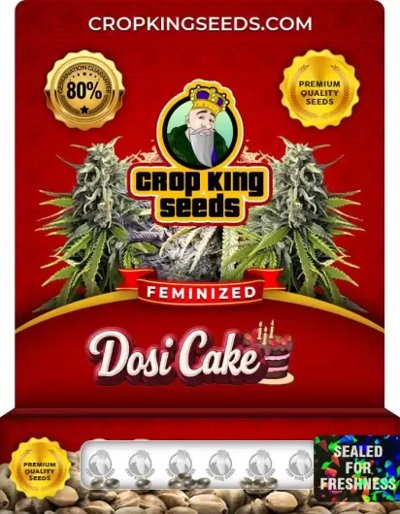 Dosi Cake