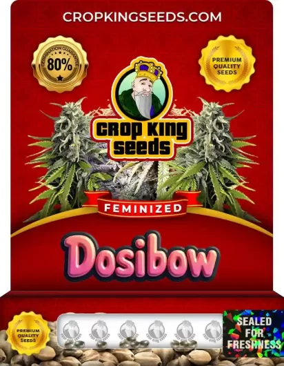 dosibow-image