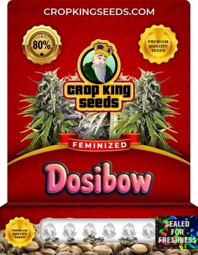 Dosibow