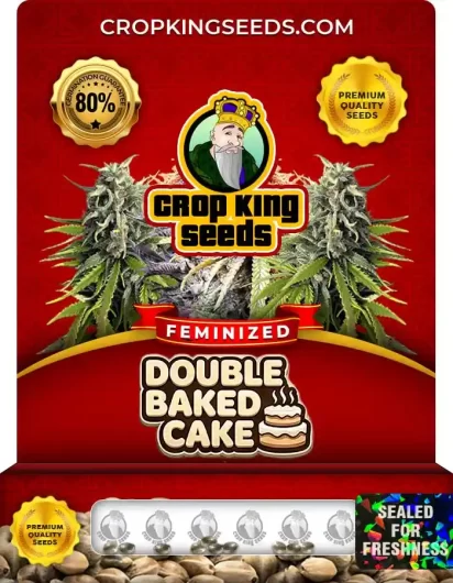 double-baked-cake-image