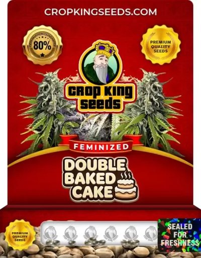 Double Baked Cake
