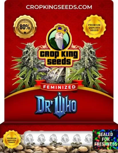 dr-who-image