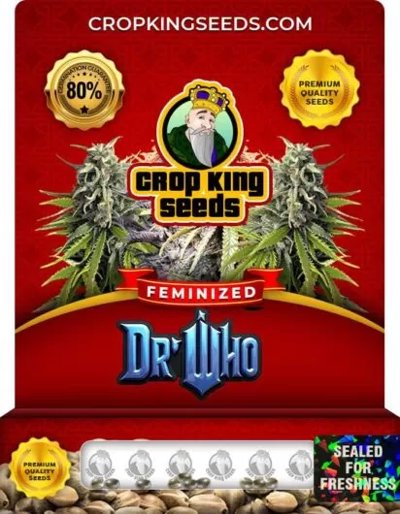 Dr Who