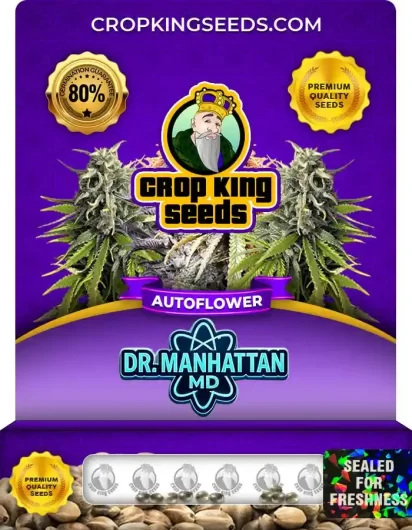 dr.-manhattan-md-autoflower-image