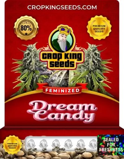 Dream Candy