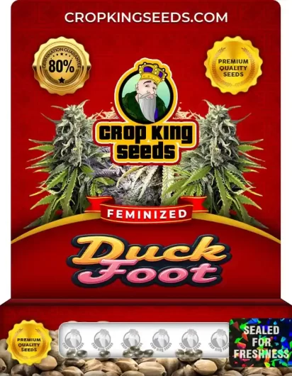 duck-foot-image