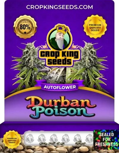 Durban Poison Autoflower