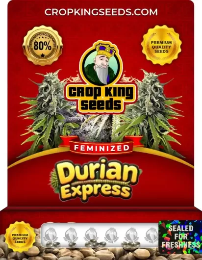 durian-express-image