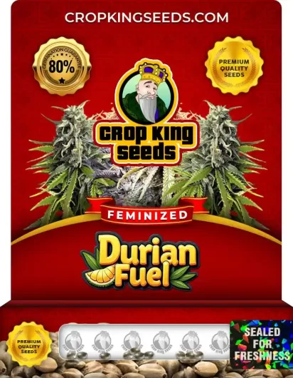 durian-fuel-image