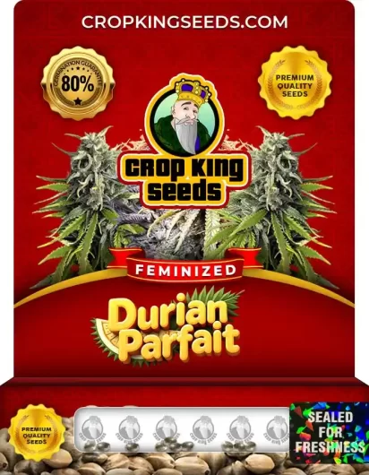 durian-parfait-image