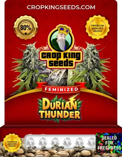 durian-thunder-image