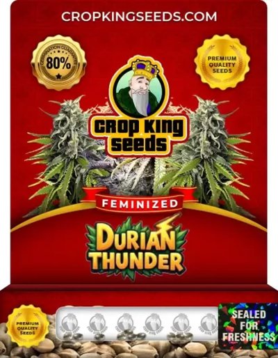 Durian Thunder