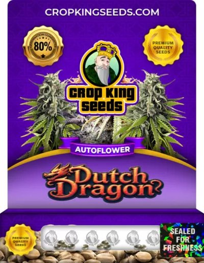 Dutch Dragon Autoflower