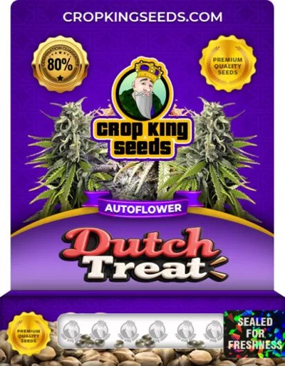 Dutch Treat Autoflower