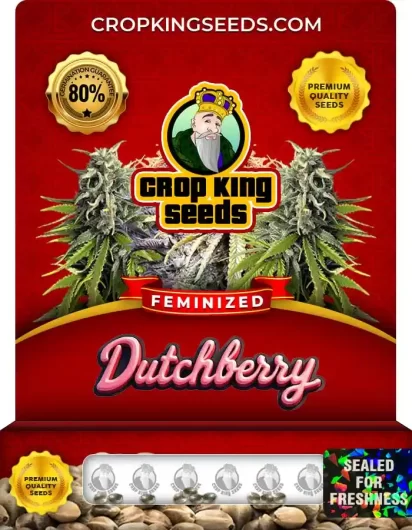 dutchberry-image