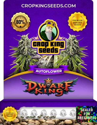 dwarf-king-autoflower-image