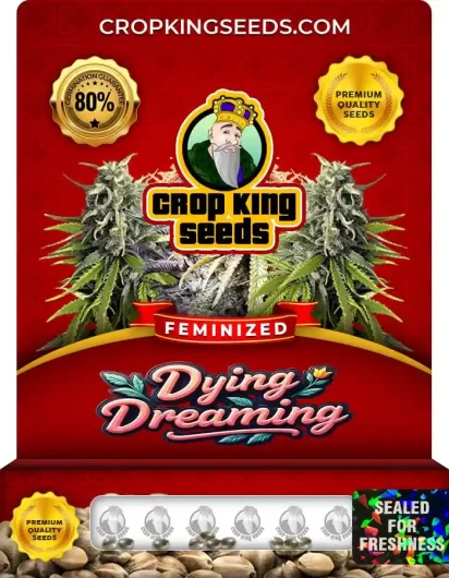 dying-dreaming-image