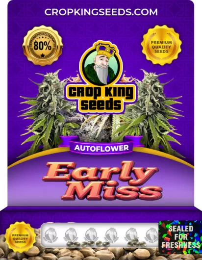 early-miss-autoflower-image
