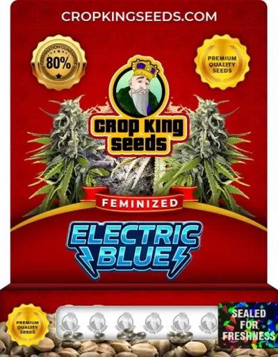 Electric Blue