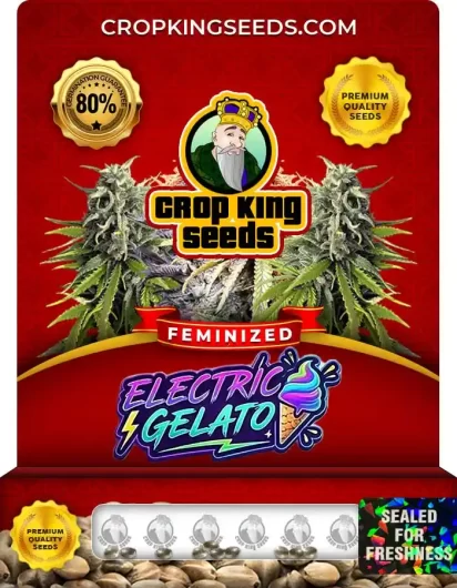 electric-gelato-image