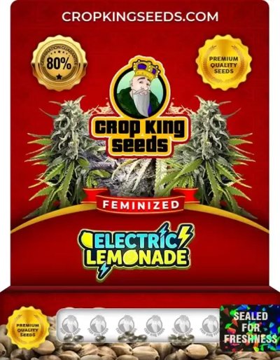 Electric Lemonade