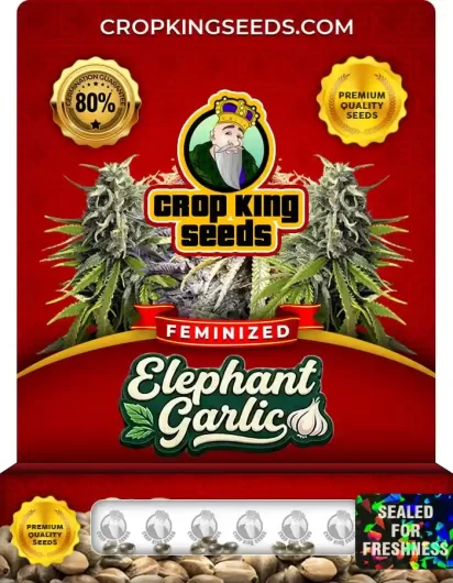 elephant-garlic-image