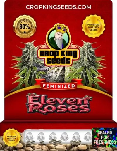 Eleven Roses